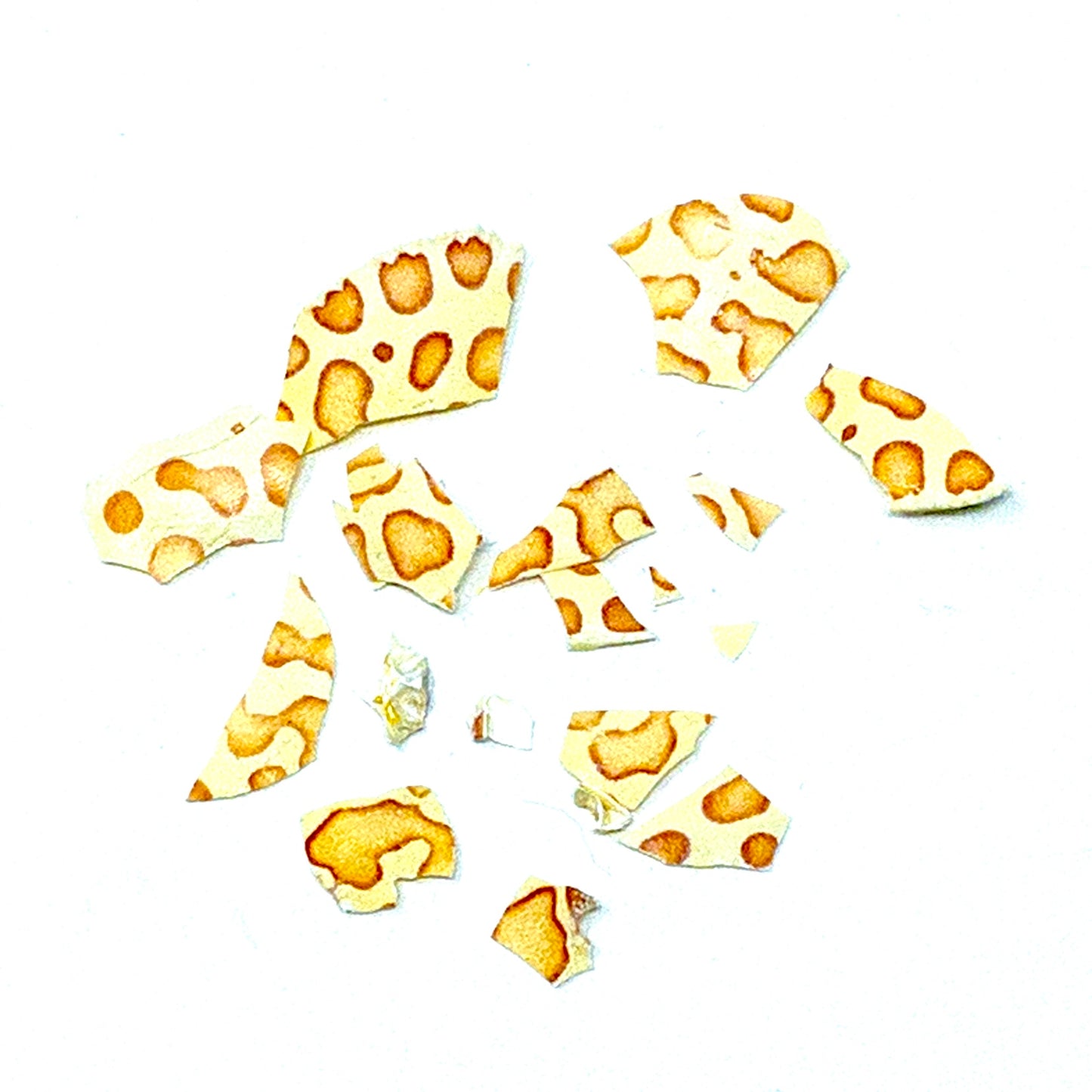 Calico Crab Bracelet